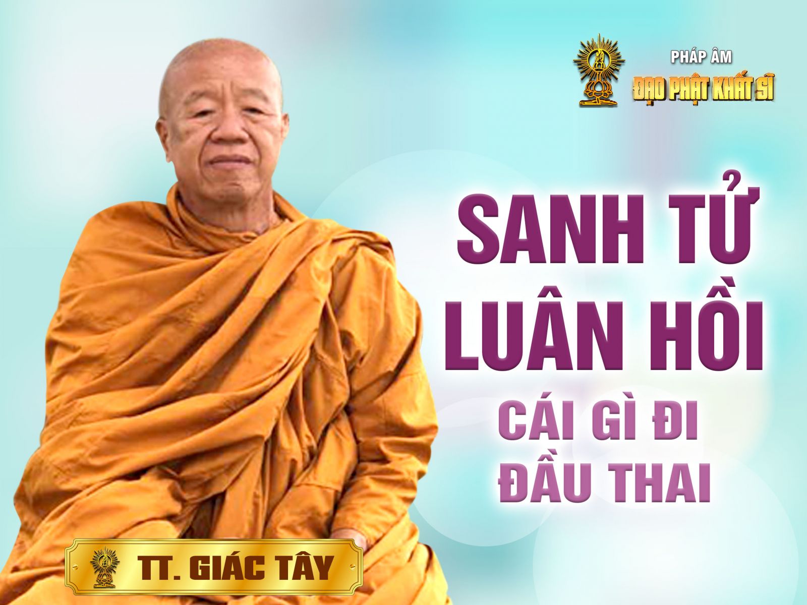 Sanh tử luân hồi - Cái gì đi đầu thai?