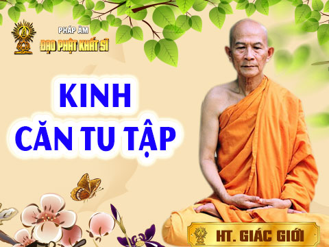 Kinh Căn tu tập