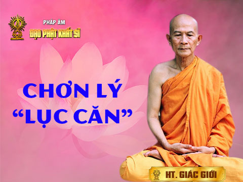 Chơn lý: Lục căn
