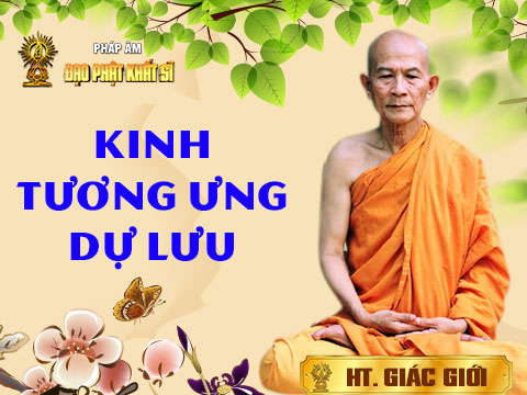 Kinh Tương ưng dự lưu