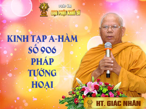 Kinh Pháp tướng hoại (Tạp A-hàm số 906)