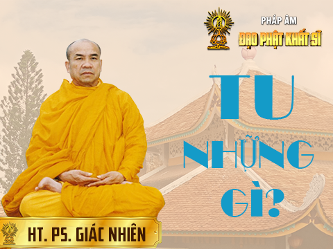 Tu những gì?