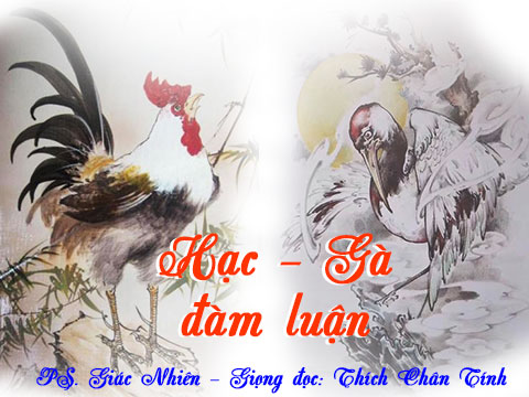 Hạc - Gà đàm luận