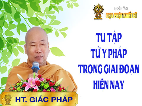 Tu tập Tứ y pháp trong giai đoạn hiện nay