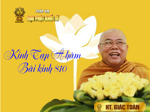 Kinh Tạp A-hàm, bài số 810 (phần 2)