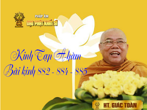 Kinh Tạp A-hàm, bài số 882,884,885