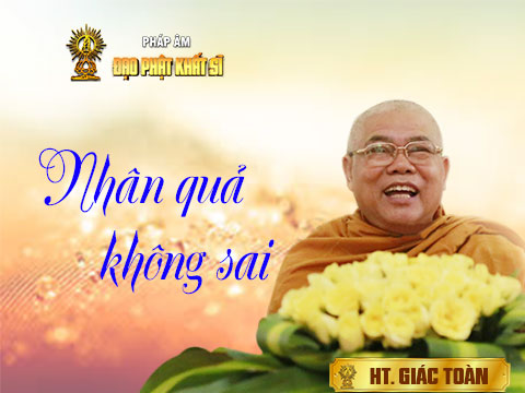 Nhân quả không sai