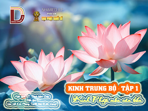 Kinh Trung Bộ 1- Kinh Pháp môn căn bổn