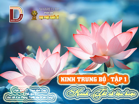 Kinh Trung Bộ 2 - Kinh Tất cả lậu hoặc