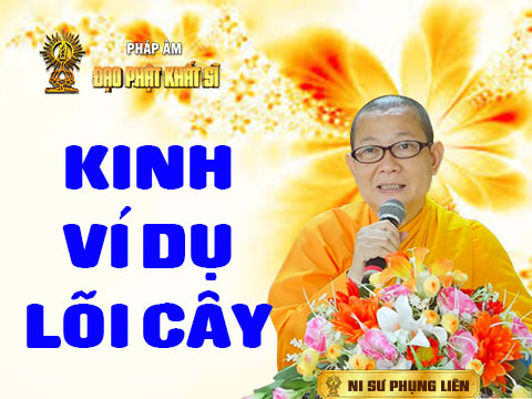 Kinh Ví dụ lõi cây