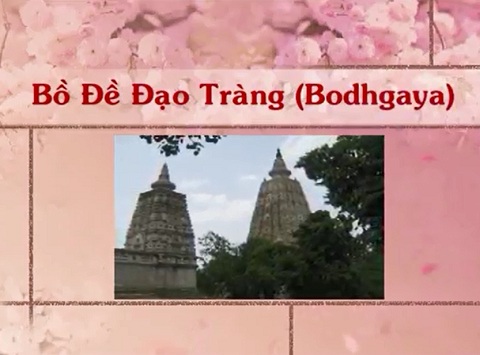 Theo dấu chân Phật 6 - Bodhgaya