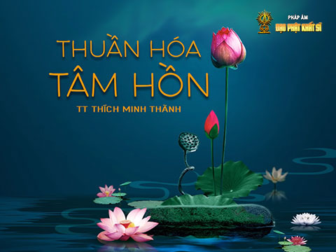 Thuần Hóa Tâm Hồn – Hài hòa trong tôn giáo (22/22)