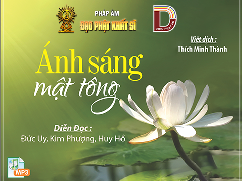 Ánh Sáng Mật Tông – Võ thuật những mô thức chánh pháp