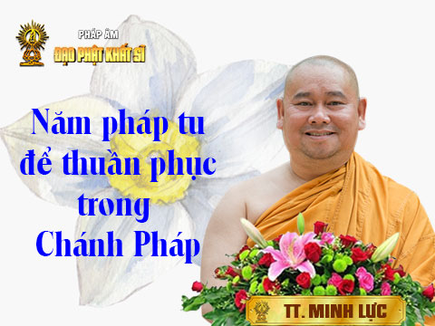 Năm pháp tu để thuần phục trong Chánh pháp