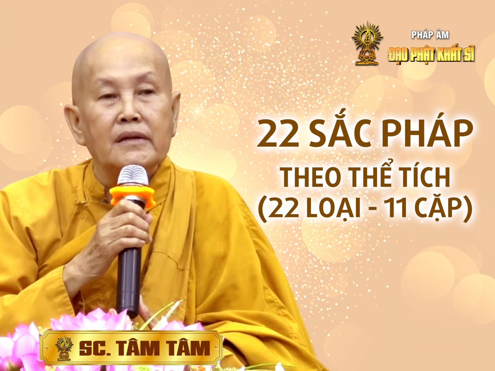 Vi Diệu Pháp - 22 Sắc pháp: 22 loại - 11 cặp