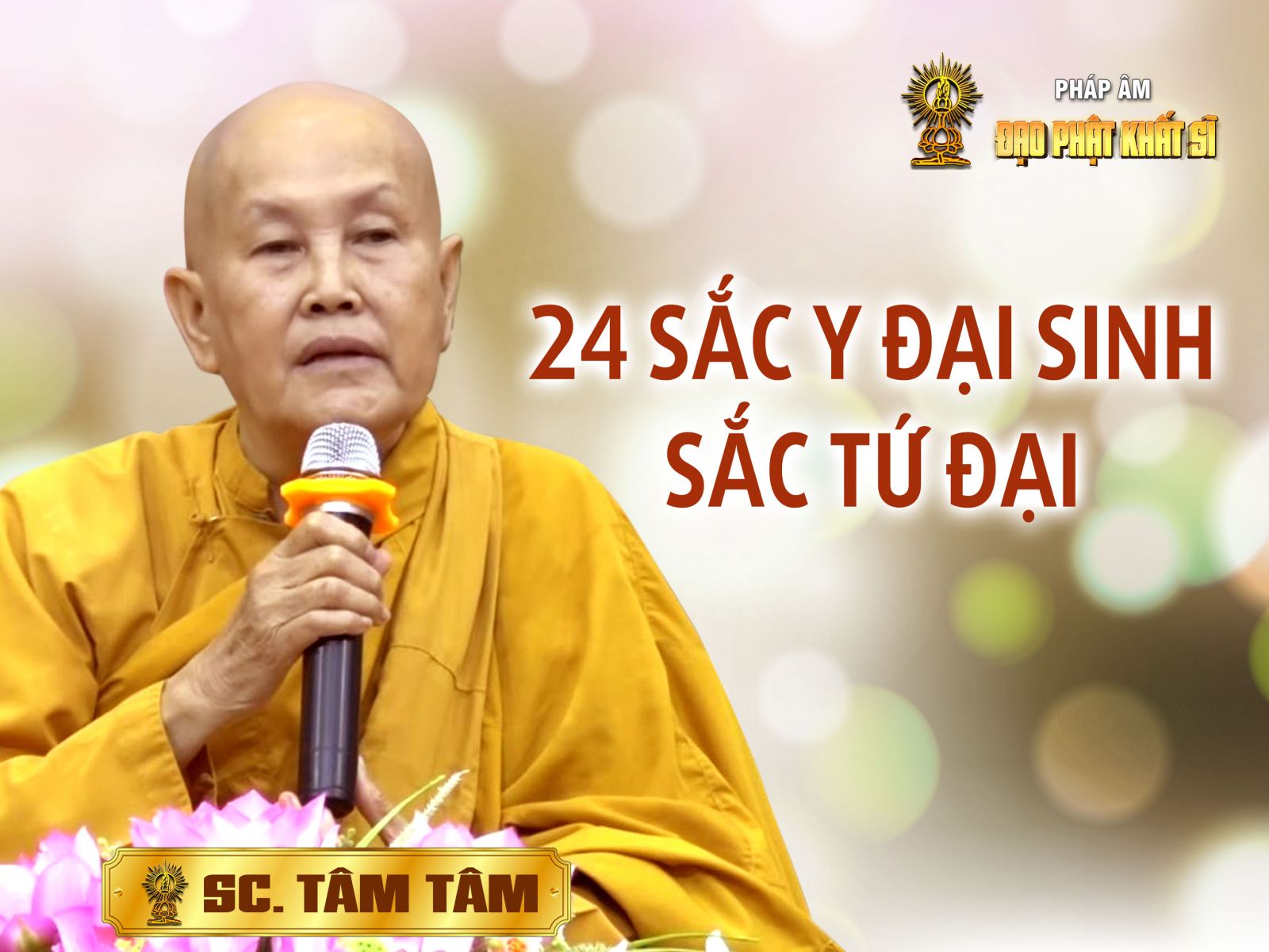 Vi Diệu Pháp - 24 Sắc y đại sinh - Sắc tứ đại