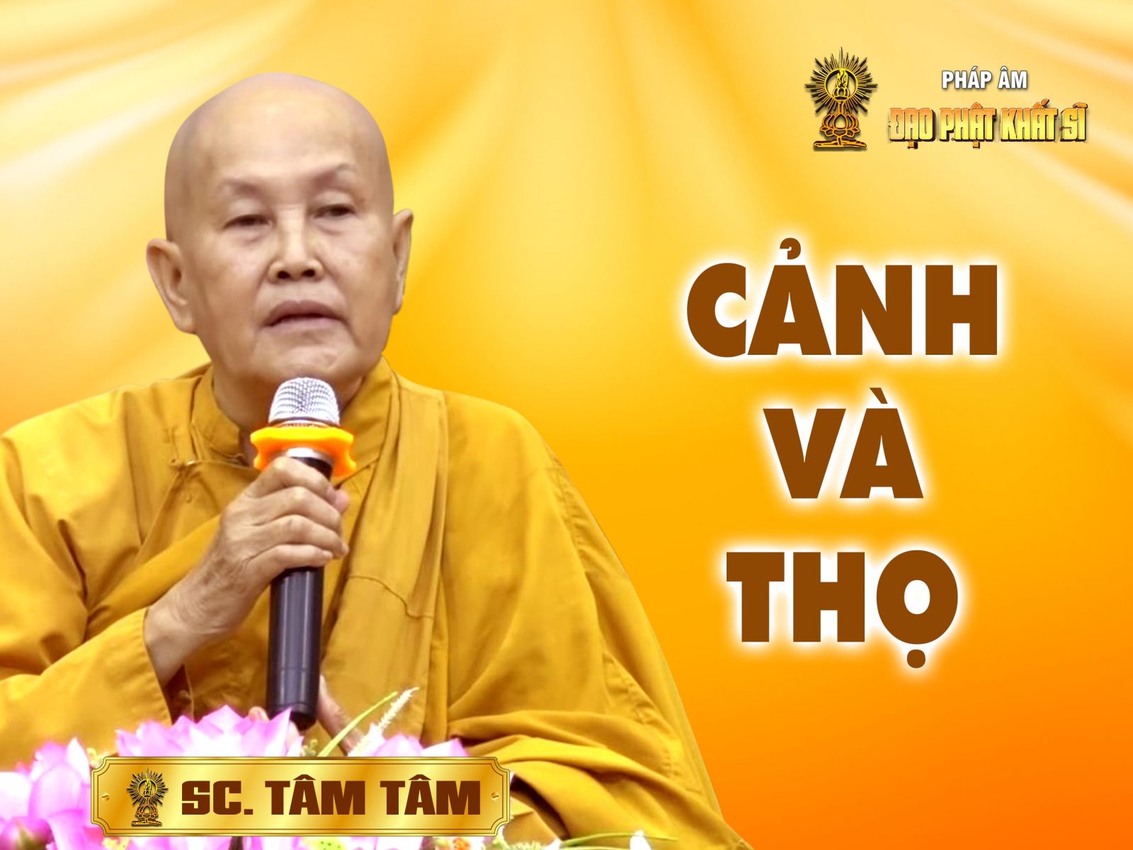 Vi Diệu Pháp - Cảnh và thọ (11/06/2017) phần 2