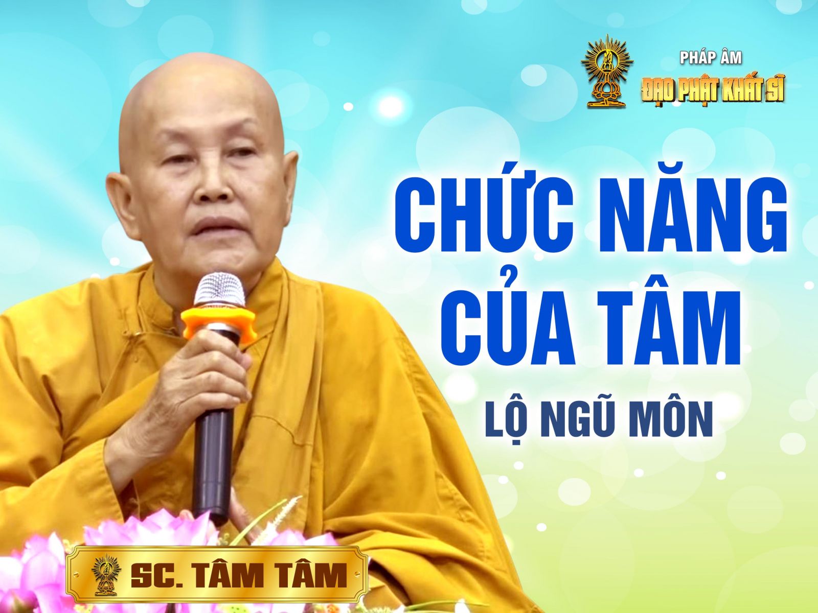 Vi Diệu Pháp - Chức năng của Tâm: Lộ ngũ môn (30/04/2017)