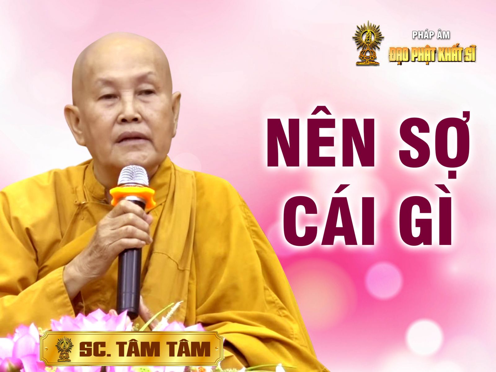 Nên sợ cái gì?