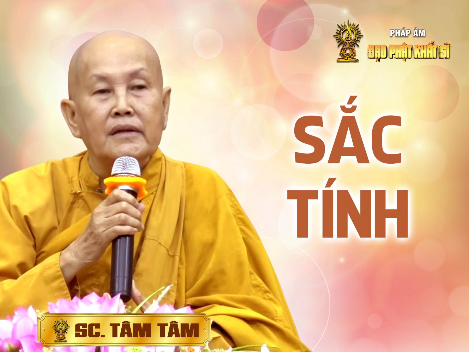 Vi Diệu Pháp - Sắc tính (Ngày 06/09/2015)