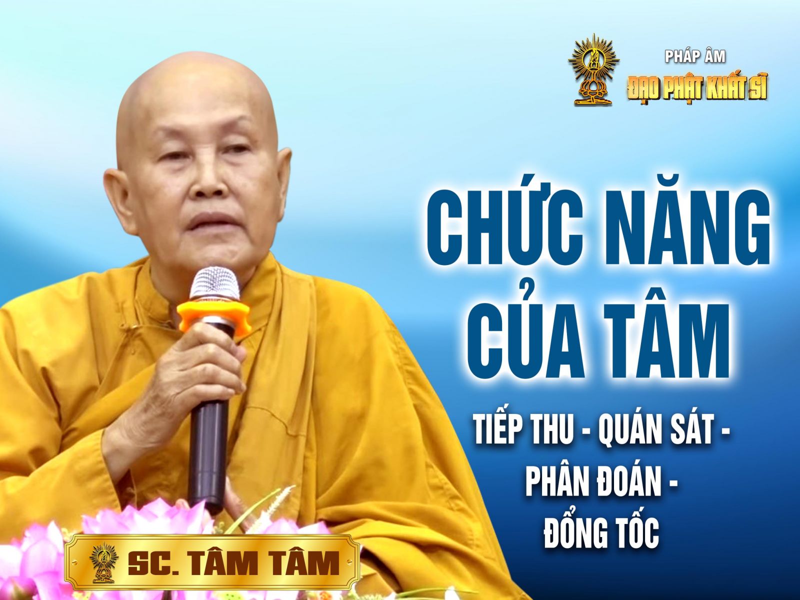 Vi Diệu Pháp - Tiếp thu, quán sát, phân đoán, đổng tốc
