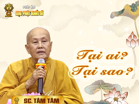 Tại ai? Tại sao?