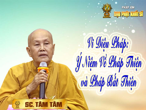 Vi Diệu Pháp - Ý Niệm Về Pháp Thiện và Pháp Bất Thiện (3)