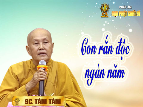 Con rắn độc ngàn năm
