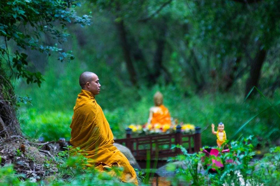 ĐĐ. Giác Chinh
