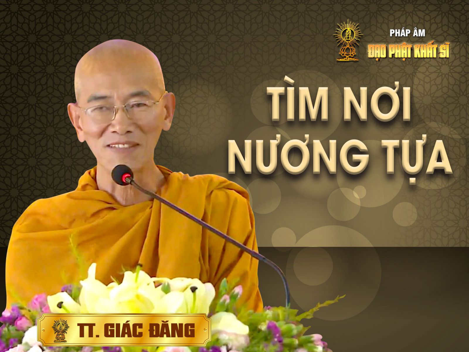 Tìm nơi nương tựa