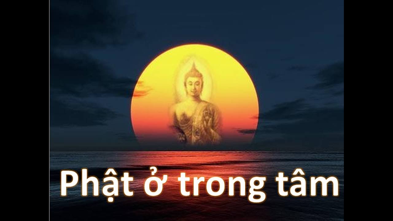 Tổng hợp